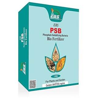                       EBS PSB Bio fertilizer For all crops and plants (10kg (Pack of 10))                                              