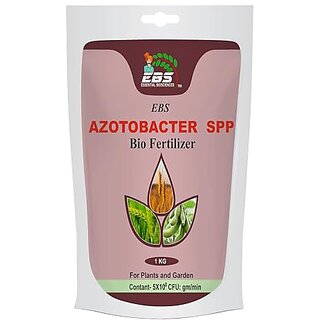                       EBS Azotobacter Bio Fertilizer for all crops and Plants (10kg (Pack of 10))                                              