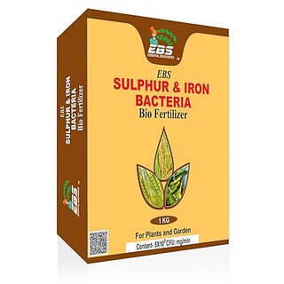                       EBS Sulphur and iron Bio fertilizer for all crops and plants (10kg (Pack of 10))                                              