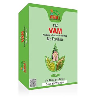                       EBS VAM (Vesicular Arbuscular Mycorrhiza) Bio fertilizer for all crops and plants                                              