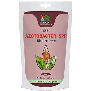                       EBS Azotobacter Bio Fertilizer for all crops and Plants (1kg (Pack of 1))                                              