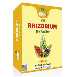                       EBS Rhizobium Bio fertilizer powder for all crops and plants (1kg (Pack of 1))                                              