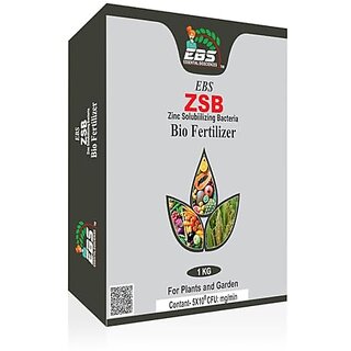                       EBS ZSB (Zinc Solubilizing Bacteria) Bio fertilizer for all crops and plants (1kg (Pack of 1))                                              