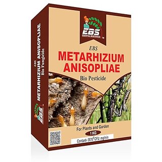                       EBS Bio Metarhizium Anisopliae for Plants and Major Crops                                              