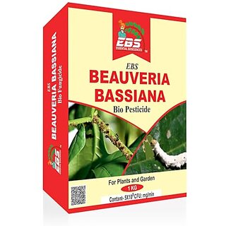                       EBS Bio Beauveria Bassiana For Plants and Major Crops                                              