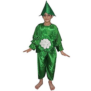                       Kaku Fancy Dresses Cauliflower Vegetables Costume Cutout with Cap - Green-White, for Boys  Girls                                              
