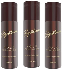 Signature YOLO Deodorant Body Spray - Pack of 3 - Woody Spicy Fragrance for Men