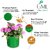 Gml Grow Green Terrace Gardening Leafy Vegetable Green Grow Bag (12 X 12) - (Pack of 10)