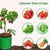Gml Grow Green Terrace Gardening Leafy Vegetable Green Grow Bag (12 X 12) - (Pack of 10)