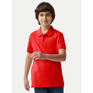                       Boys Red Plain Polo T-shirt                                              