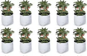 GML Grow Green LDPE Poly Grow Bags with Flower Plant (White, 20x20x35 cm) - Pack of 10.