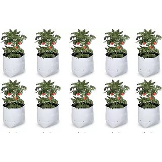                       GML Grow Green LDPE Poly Grow Bags with Flower Plant (White, 20x20x35 cm) - Pack of 10.                                              