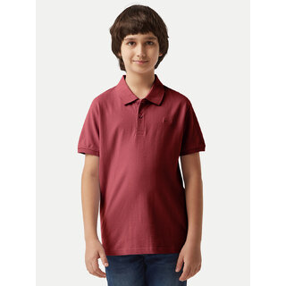                       Boys Sky Plain Polo T-shirt                                              