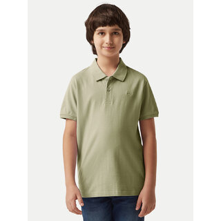                       Boys Green Plain Polo T-shirt                                              