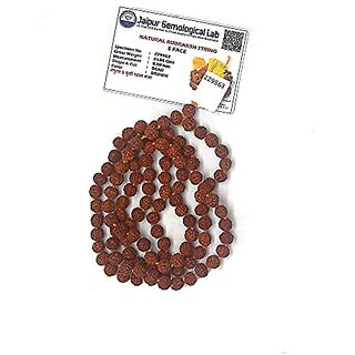                       Spherulemuster Certified Rudraksha 5 Mukhi (108+1) Beads for Men and Women Lab Tested (8 mm)                                              
