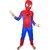 Frozen Spiderman Kids Costume Wear