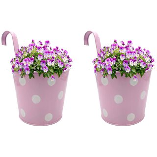                       GARDEN KING 15 cm Railing Planter for Indoor and Outdoor, (Pink, Set of 2 Pcs)                                              