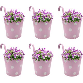                       GARDEN KING 15 cm Railing Planter for Indoor and Outdoor, (Pink, Set of 6 Pcs)                                              