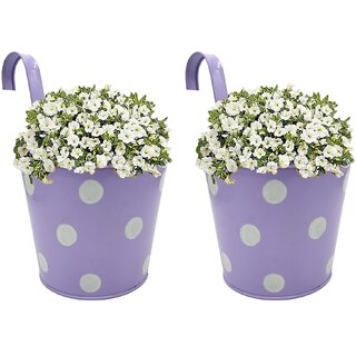                       GARDEN KING 15 cm Railing Planter for Indoor and Outdoor, (Purple, Set of 2 Pcs)                                              