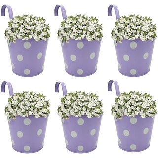                       GARDEN KING 15 cm Railing Planter for Indoor and Outdoor, (Purple, Set of 6 Pcs)                                              