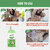 Altressa Green Apple Dog Shampoo 300ML