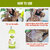 Altressa Green Apple Dog Shampoo 500ML