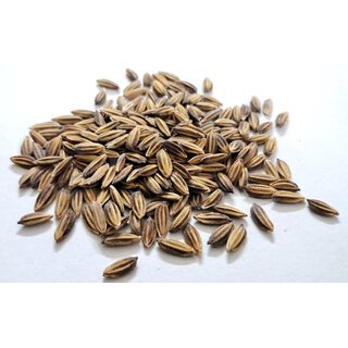                       Black Rice paddy Seed (Burma Black) 900grm                                              