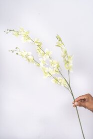 Eikaebana Flower Shop  Artificial Dendrobium Orchid Stick for Home, Wedding Decoration (Off White Set of 12)