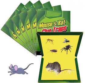 Rat Trap Glue for home and kitchen mouse trapping gum pack of (6-Pieces)