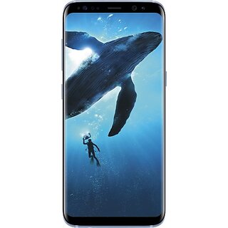                       (Refurbished) SAMSUNG Galaxy S8 (Coral Blue, 64 GB) (4 GB RAM) Dual SIM - Grade++                                              