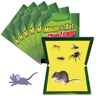 Rat Trap Glue for home and kitchen mouse trapping gum pack of (6-Pieces)