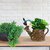 Homeberry Handicrafted WaterCan with Bird Resin Pot Gardening Flower Pot for Home  Garden Decorative Showpiece  -  10 cm (Resin, Multicolor)