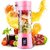 Aseenaa 380ml Portable Juice Blender, Juicer Bottle Mixer, Juice Maker, Fruit Juicer Machine Electric, USB Rechargeable