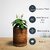 uBreathe Mini Classic Air Purifying Planter In Pack Of 4 With 4 Stage Filtration Helps In Removing Indoor Air Pollutants