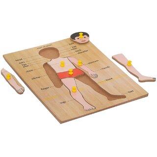                       Seema Kitchenware Body Parts Puzzle Kids Wooden Toys for Kids 3+ Jigsaw Puzzles for Adults Baby Learning Toys Educatio                                              