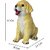 Homeberry Resin Labrador Dog Showpiece for Garden and Home Decor ,Study and office Table Decorative Showpiece  -  16 cm (Resin, Multicolor)_169Clone