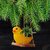 Homeberry Bird Hanging Planter with Rope  Hand Painted Bird Decor Hanging Plant Holder Decorative Showpiece  -  14 cm (Resin, Multicolor)_175Clone