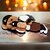 LUCKY JEWELLERY Designer Plastic Cute Teddy Lovely Selfie Brooches For Kids Cub Unisex Brooch Pin For Men & Women