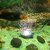 Bubbling Stone Round Aquarium Light, (2 INCH) White Colour LED Aquarium Fish Tank Air Stone Disk with Air Pump Motor