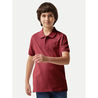                       Plain Polo T-shirt                                              