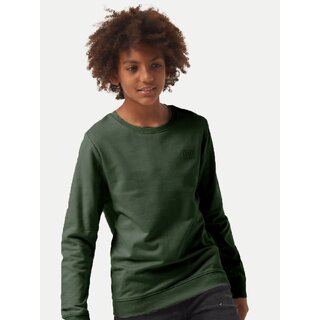                       Boys Solid Blue Crew neck Sweatshirt                                              