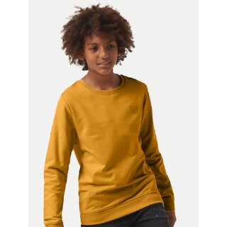                       Boys Solid Beige Crew neck Sweatshirt                                              