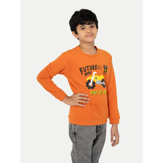                       Boys Printed Sweat Shirt                                              