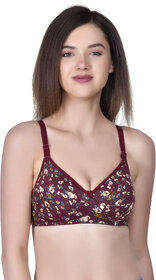 Lambency India Brown T-shirt Bra