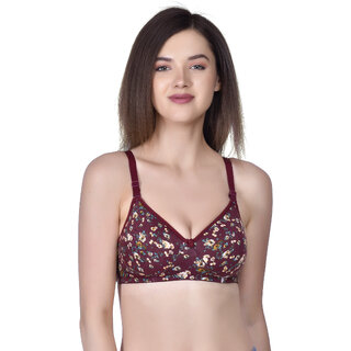                       Lambency India Brown T-shirt Bra                                              