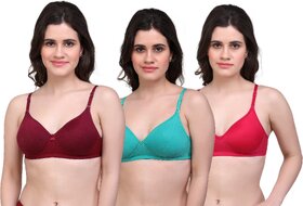 Lambency Multicolor T-Shirt Bra