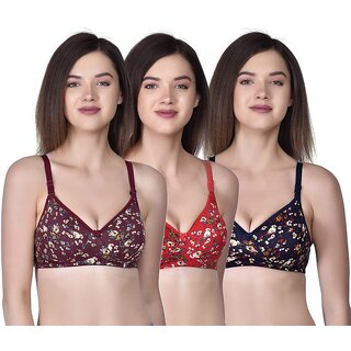                       Lambency Multicolor T-Shirt Bra                                              