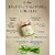 Bindian Organic & Natural Aloe Vera Powder For Face, Skin & Hair 50 Grams (50 G)