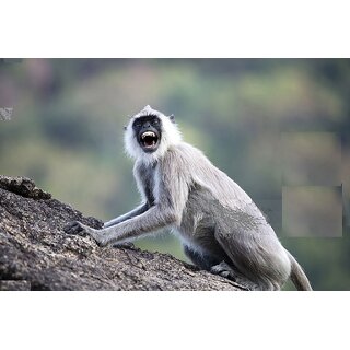                       Langur Painting-Good for monkey to get rid off Size 3x3 feet Birds' Park                                              