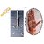 Heena (Mehandi) needle all size 24pcs with 4pcs syringe-Good for Heena new beginner or professional Birds' Park